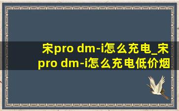 宋pro dm-i怎么充电_宋pro dm-i怎么充电(低价烟批发网)